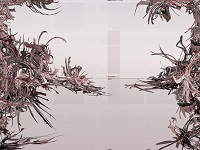 管理社科