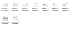 Windows安全原理与技术